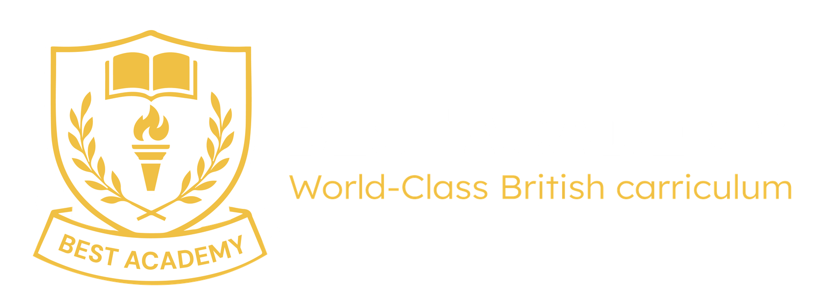Best Academy International School